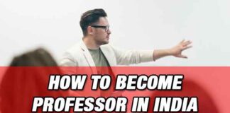 Career as Professor